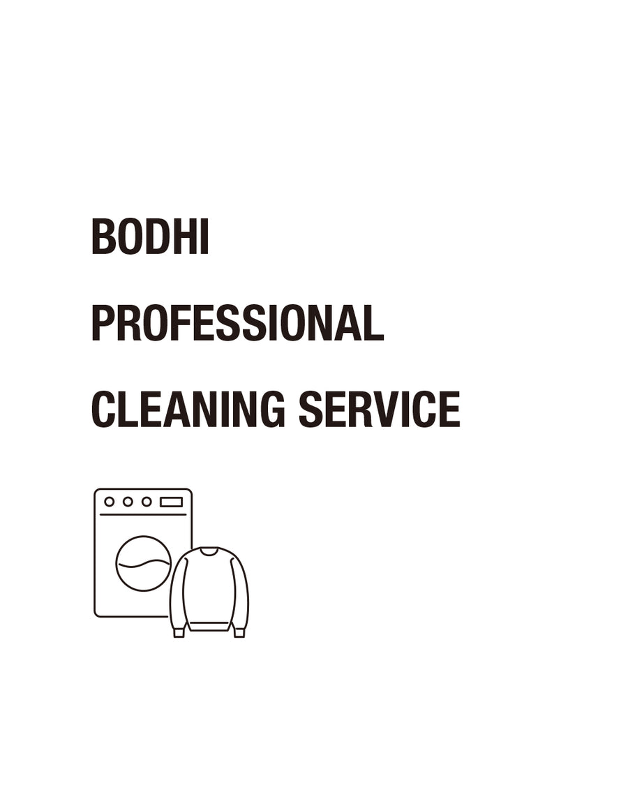 PROFESSIONAL CLEANING SERVICE